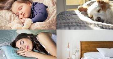 Das perfekte Dach für den perfekten Schlaf