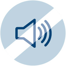 EXCELLENT NOISE PROTECTION